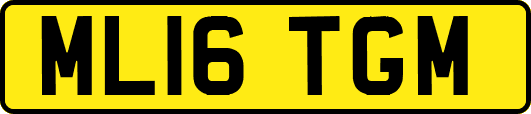 ML16TGM