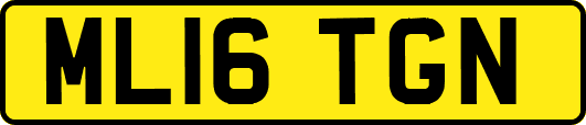 ML16TGN