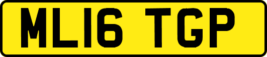 ML16TGP
