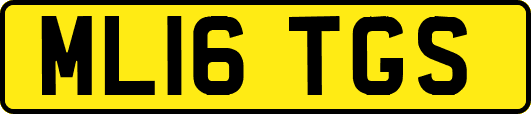 ML16TGS