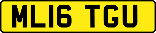 ML16TGU