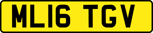ML16TGV