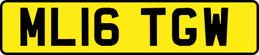 ML16TGW
