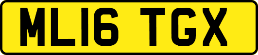 ML16TGX