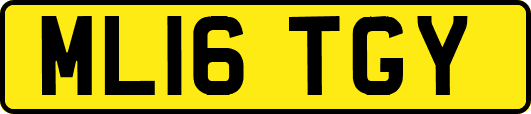 ML16TGY