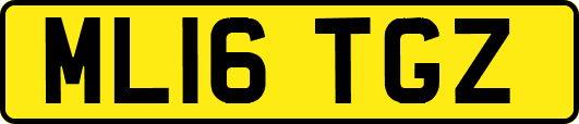 ML16TGZ