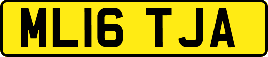 ML16TJA