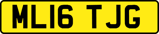 ML16TJG