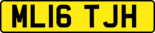 ML16TJH