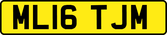 ML16TJM