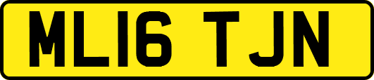 ML16TJN