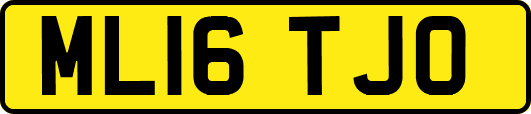 ML16TJO