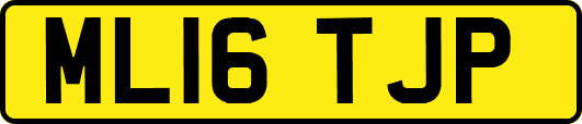 ML16TJP