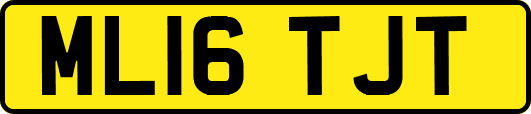 ML16TJT