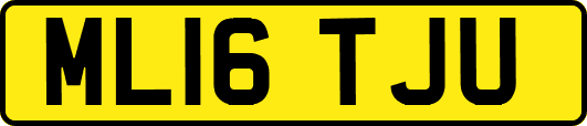 ML16TJU