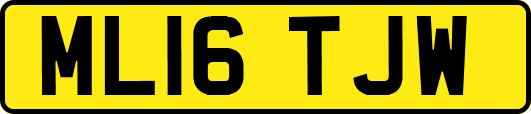 ML16TJW