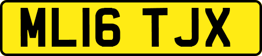 ML16TJX