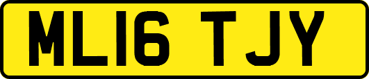 ML16TJY