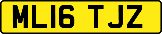 ML16TJZ