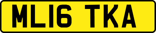 ML16TKA