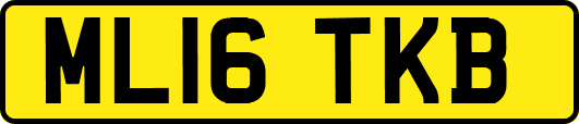 ML16TKB