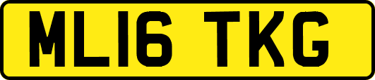ML16TKG