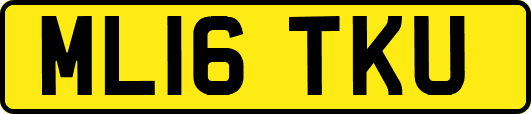 ML16TKU