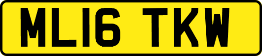 ML16TKW