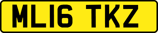 ML16TKZ