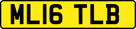 ML16TLB