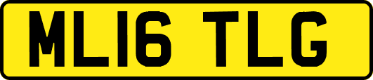 ML16TLG