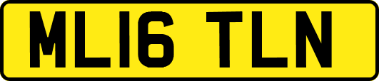 ML16TLN