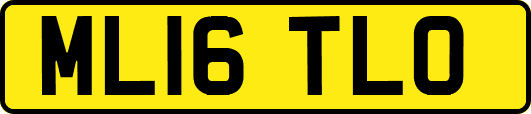 ML16TLO