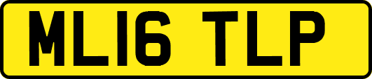 ML16TLP