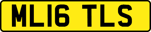 ML16TLS