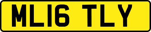 ML16TLY