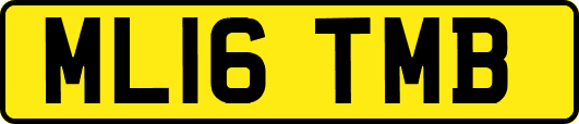 ML16TMB