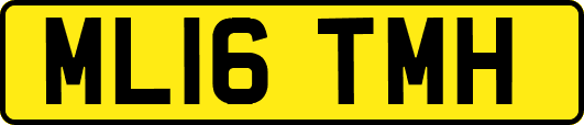 ML16TMH