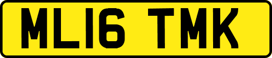 ML16TMK