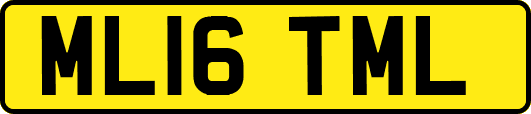 ML16TML