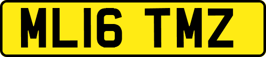 ML16TMZ