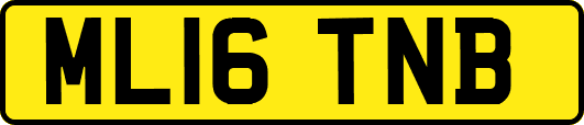 ML16TNB