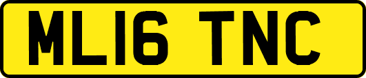 ML16TNC
