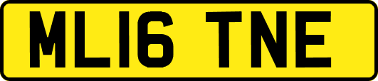 ML16TNE