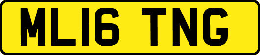 ML16TNG