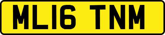 ML16TNM