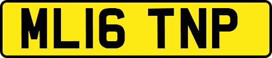 ML16TNP