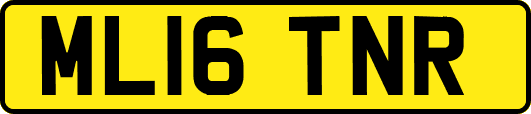 ML16TNR