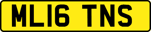 ML16TNS