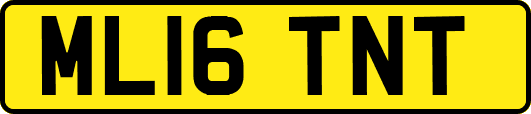 ML16TNT